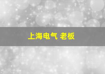 上海电气 老板